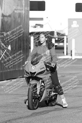 media/Feb-23-2025-2WTD (Sun) [[9604a77d5d]]/1-Around the Pits/